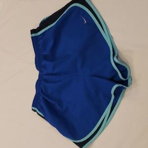Nike Dri-Fit Royal Blue Running Shorts Size: L